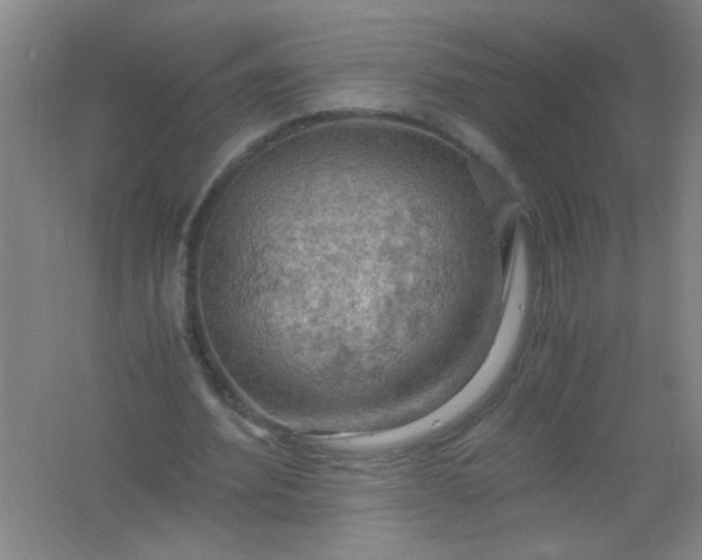 X0000061740580200512161652