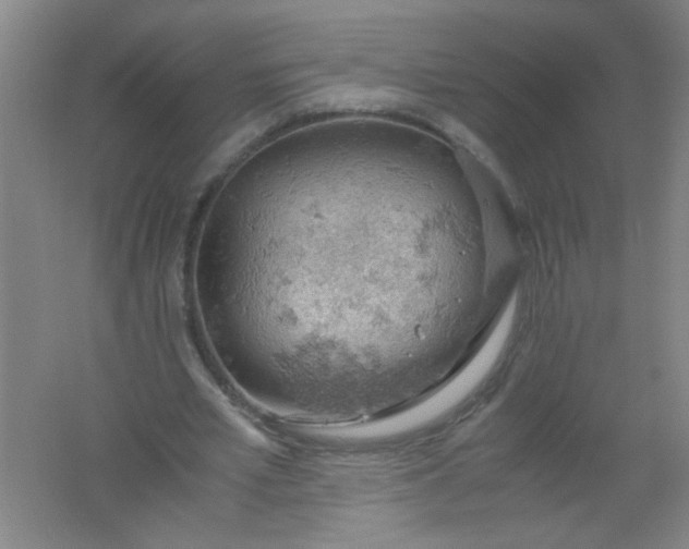 X0000061740581200512161652