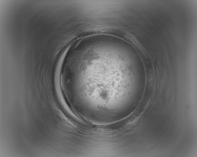 X0000061740585200512161652