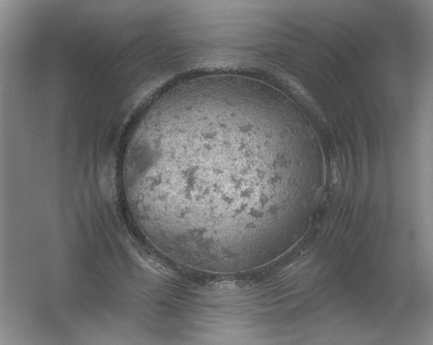 X0000061740588200512161652