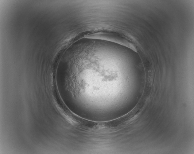 X0000061740589200512161652