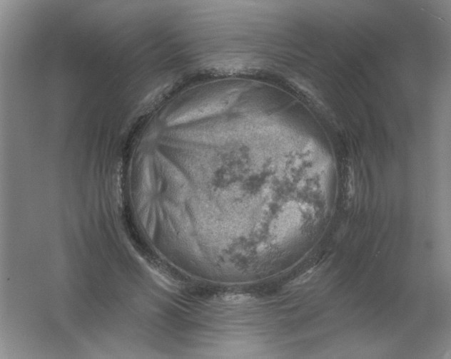 X0000061740590200512161652