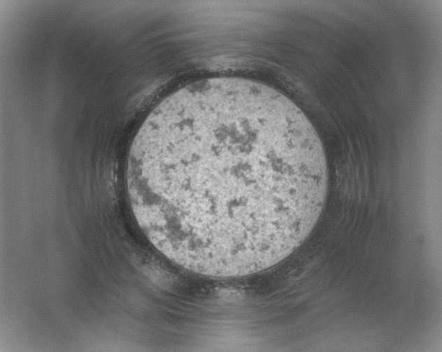 X0000061740592200512161652