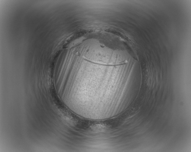 X0000061740594200512161652