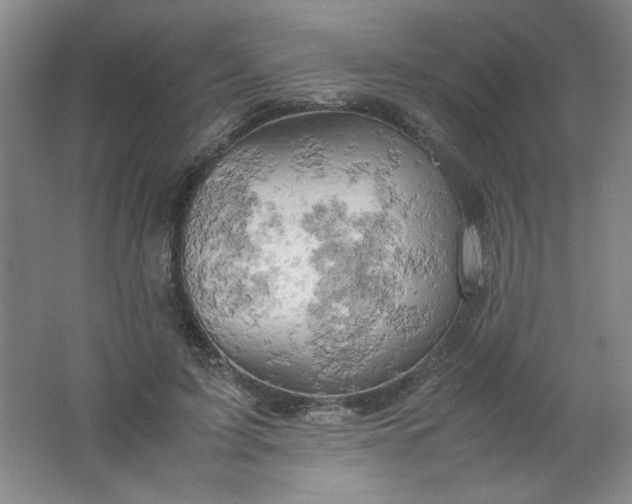 X0000061740595200512161652