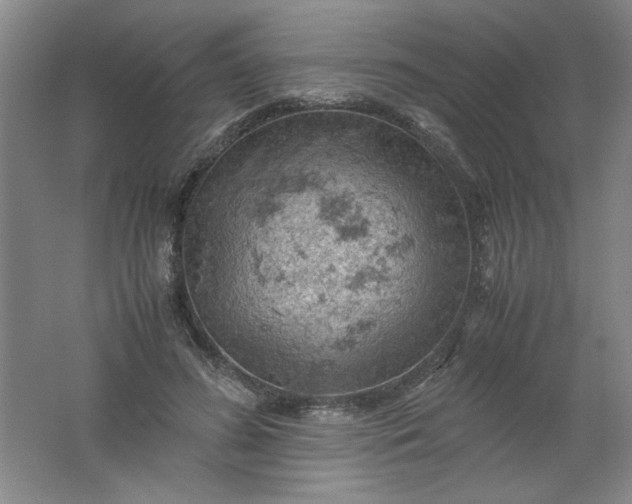 X0000061740596200512161652