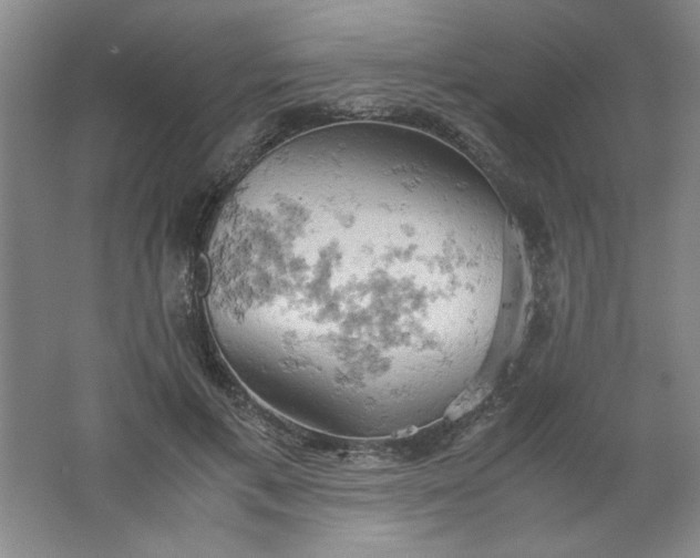 X0000061740597200512161652