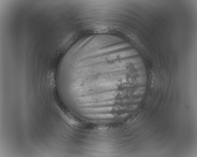 X0000061740598200512161652