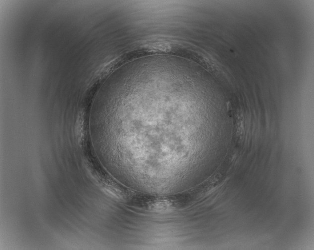 X0000061740600200512161652