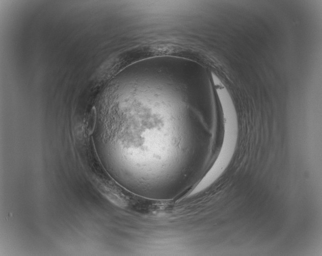 X0000061740601200512161652