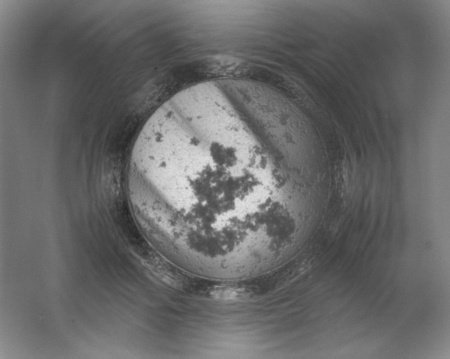 X0000061740602200512161652