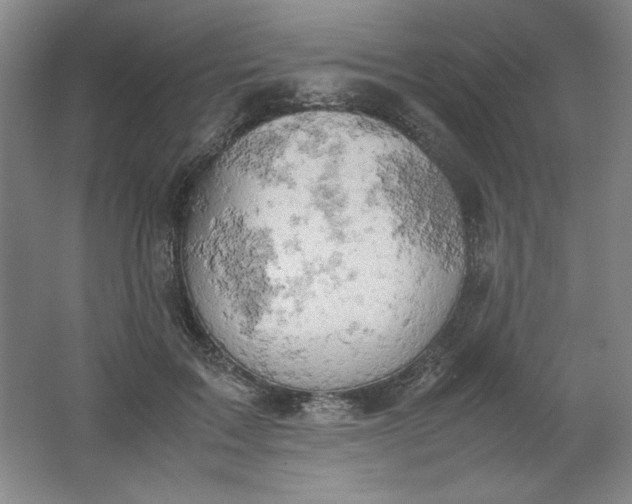 X0000061740603200512161652