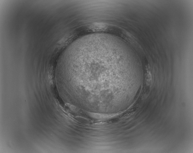 X0000061740604200512161652