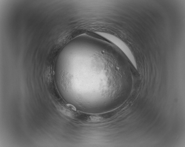 X0000061740605200512161652