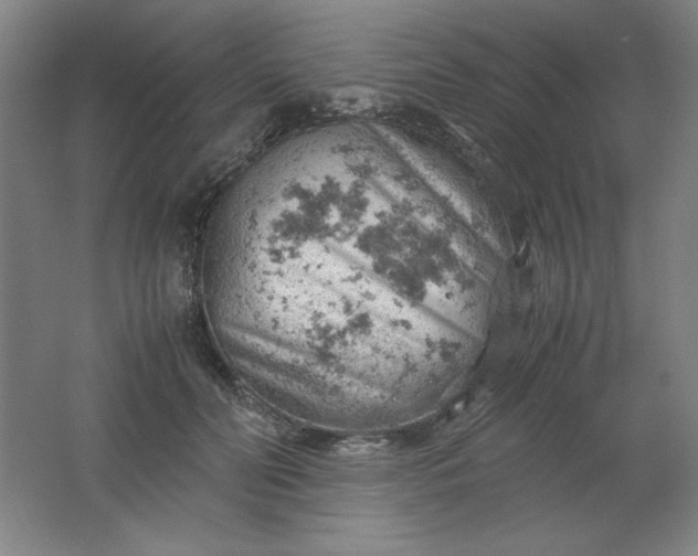 X0000061740606200512161652