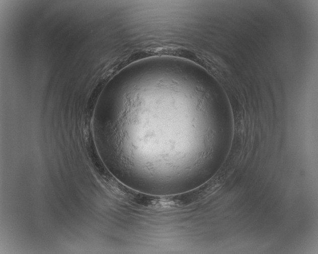 X0000061740607200512161651