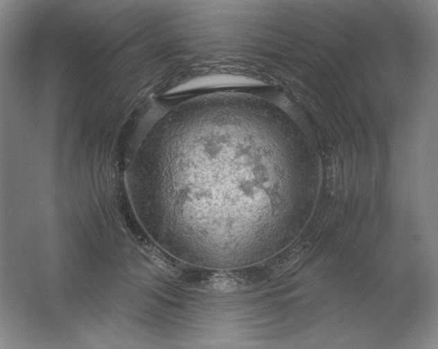 X0000061740608200512161651