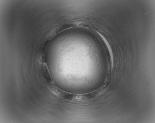 X0000061740611200512161651