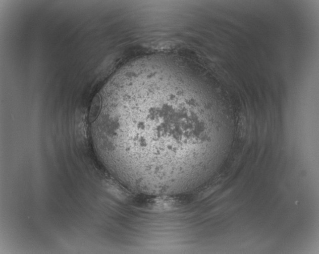 X0000061740612200512161651