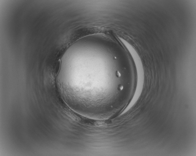 X0000061740613200512161651