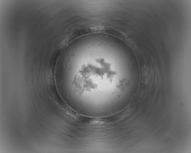 X0000061740614200512161651