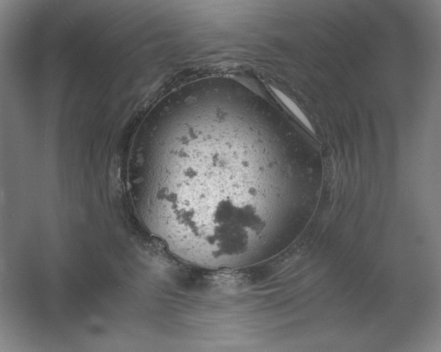 X0000061740615200512161651