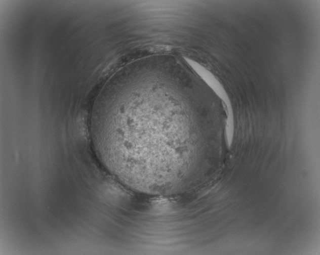 X0000061740616200512161651