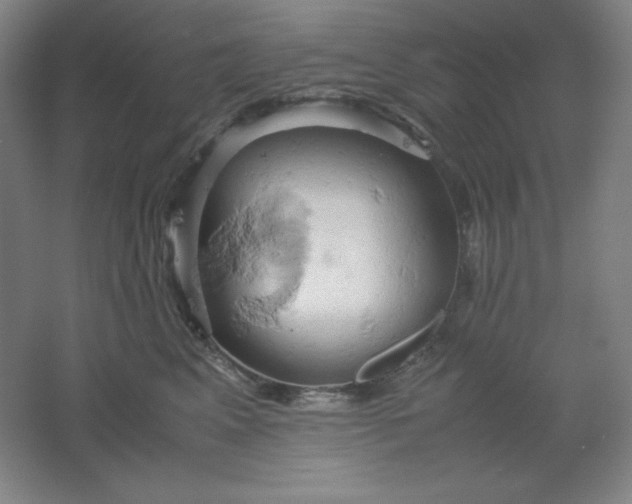 X0000061740617200512161651