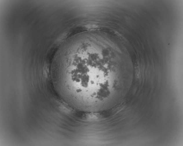 X0000061740618200512161651