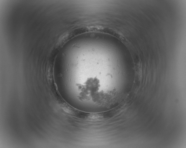 X0000061740619200512161651