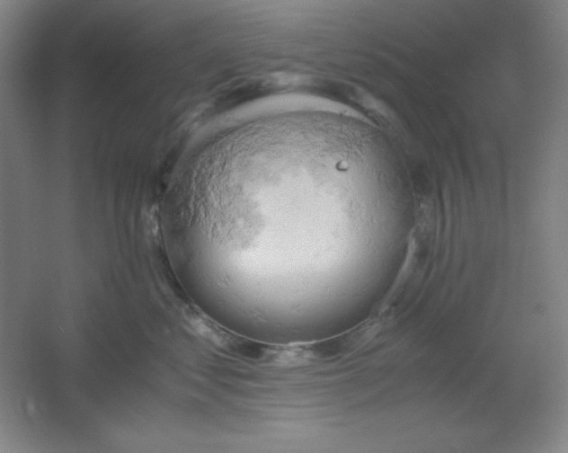 X0000061740621200512161651