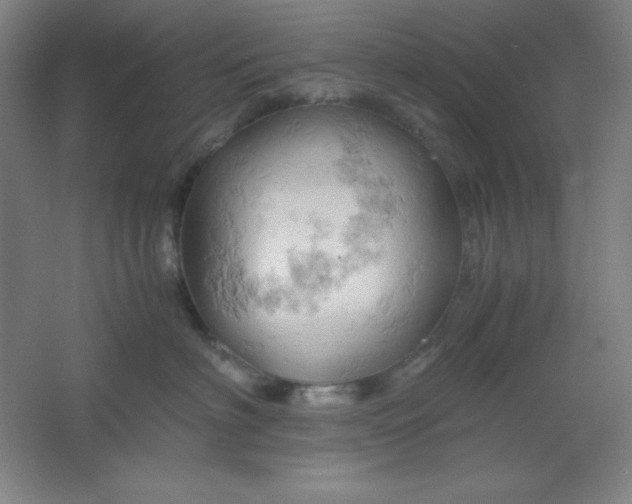 X0000061740622200512161651