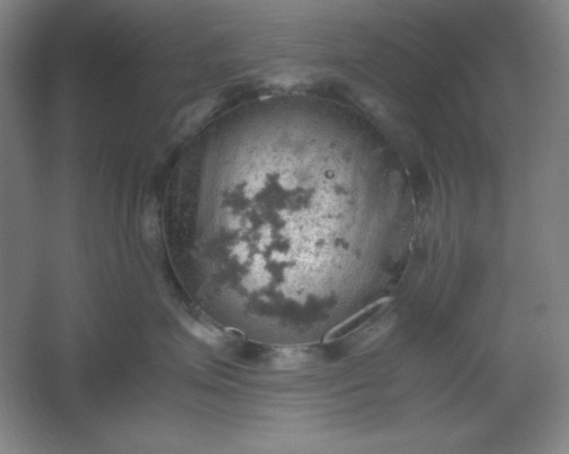 X0000061740623200512161651