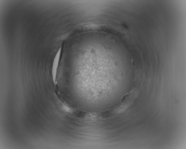 X0000061740624200512161651