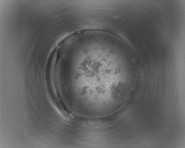 X0000061740626200512161650