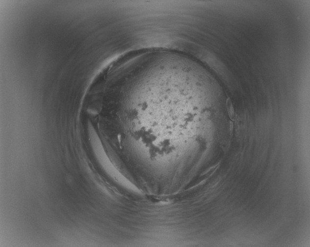 X0000061740628200512161650