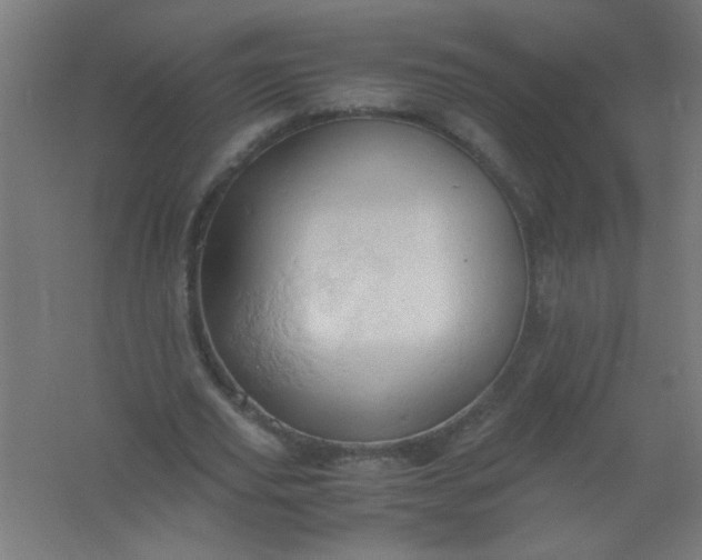 X0000061740629200512161650