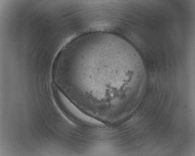 X0000061740630200512161650