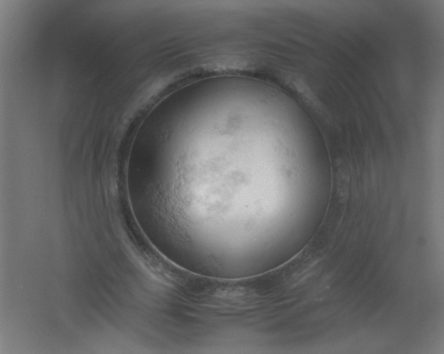 X0000061740631200512161650