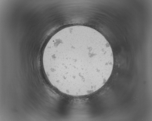 X0000061740632200512161650