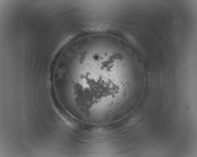 X0000061740634200512161651