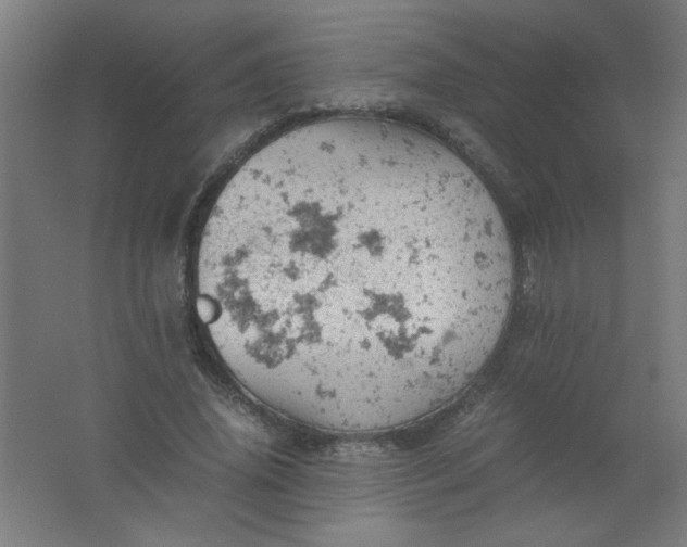 X0000061740636200512161651