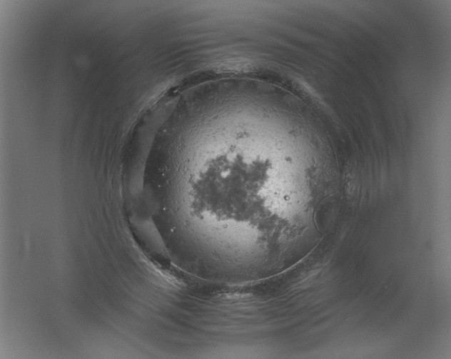 X0000061740637200512161651