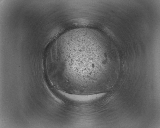 X0000061740638200512161651