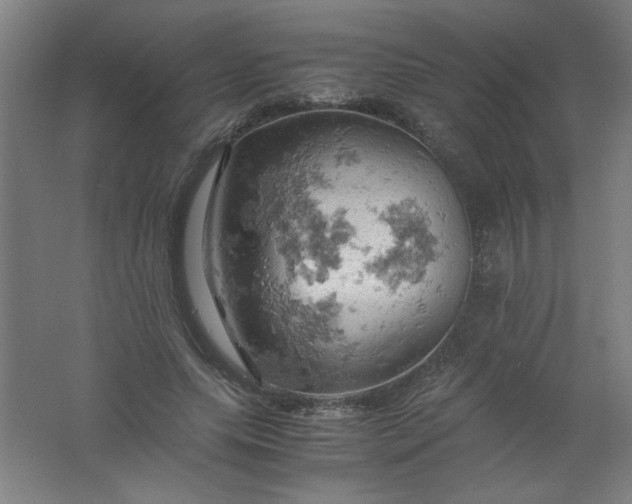 X0000061740639200512161651