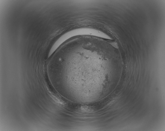 X0000061740641200512161651