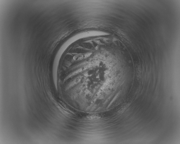 X0000061740644200512161651