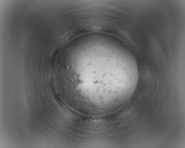 X0000061740645200512161651