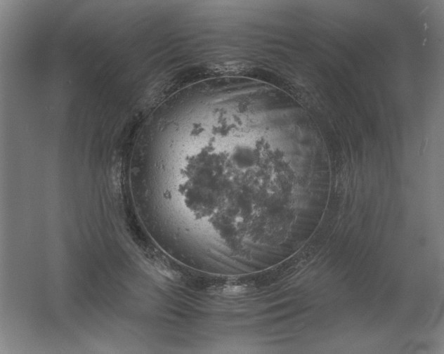 X0000061740647200512161651