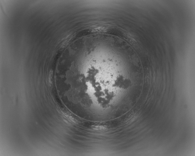 X0000061740649200512161651